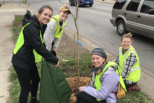 Students gathered around a young tree in reflective vests