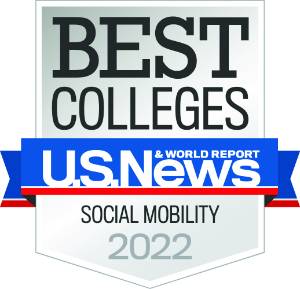 Award Badge