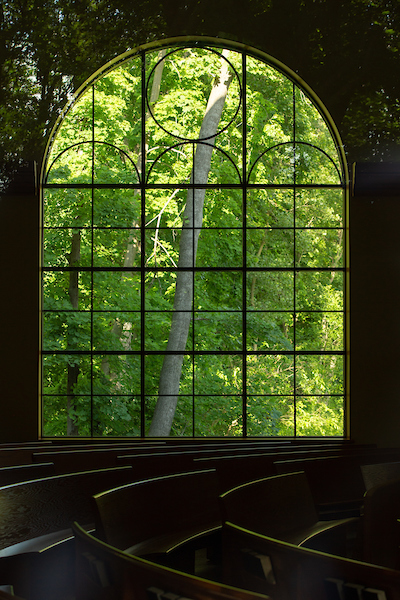 Chapel Window with trees visible outside