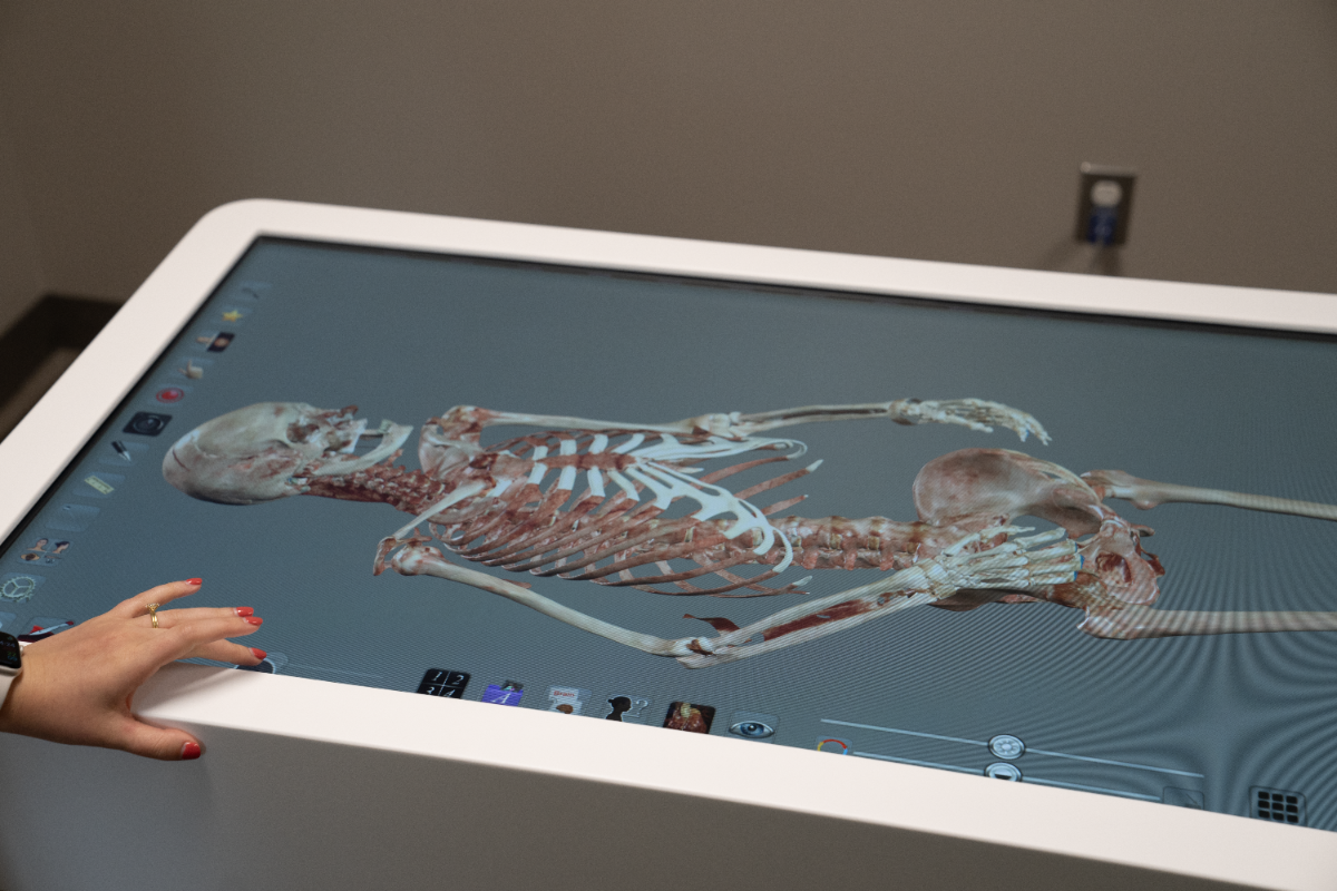 anatomage