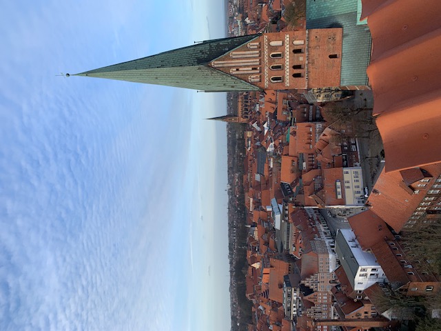 Photo over a city with brown roofs and a spire in the foreground