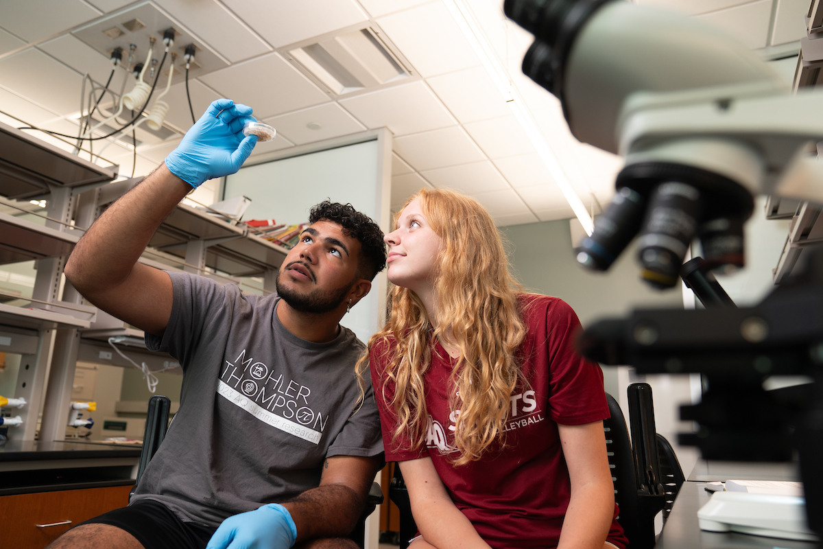 Two students look at a petri dish in a lab