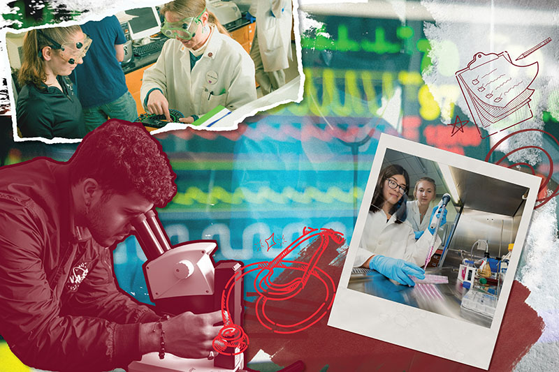 collage of biology photos