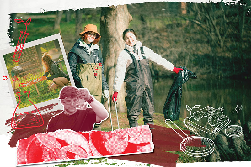 collage of physical and environmental sciences photos