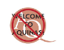 copy on logo
