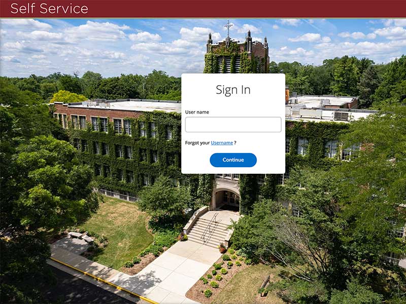 Self Service portal