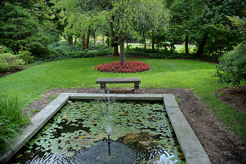 small cement pond in garden