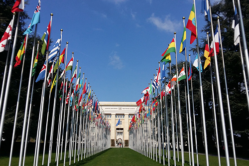 lawn lined with international flags